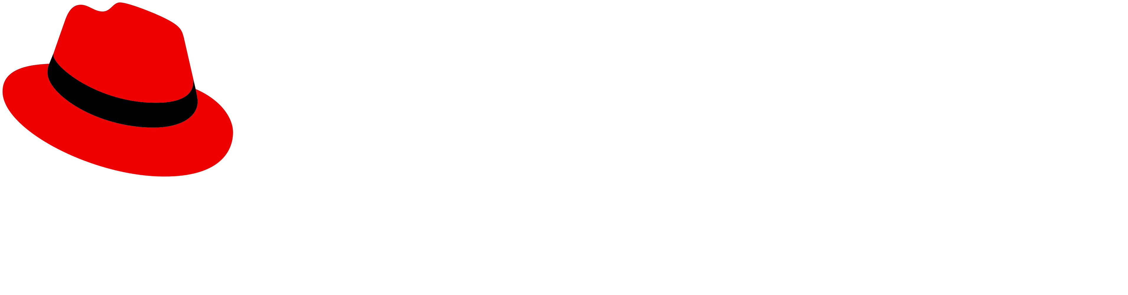 logo-red_hat-developer_hub-a-reverse-rgb.medium-logo-transparent
